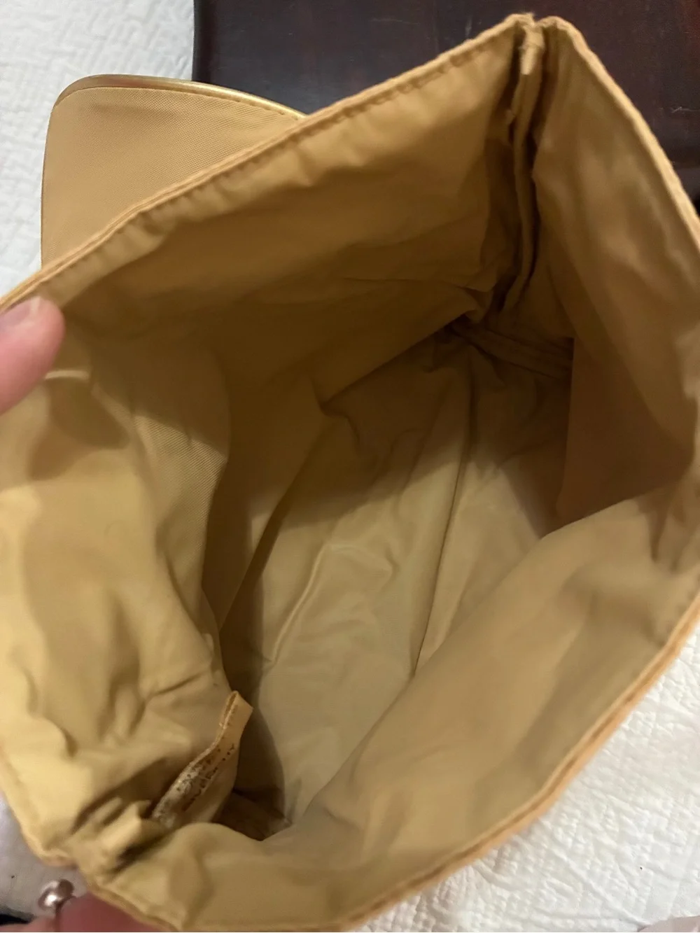 Givenchy (Organza) clutch/accesory